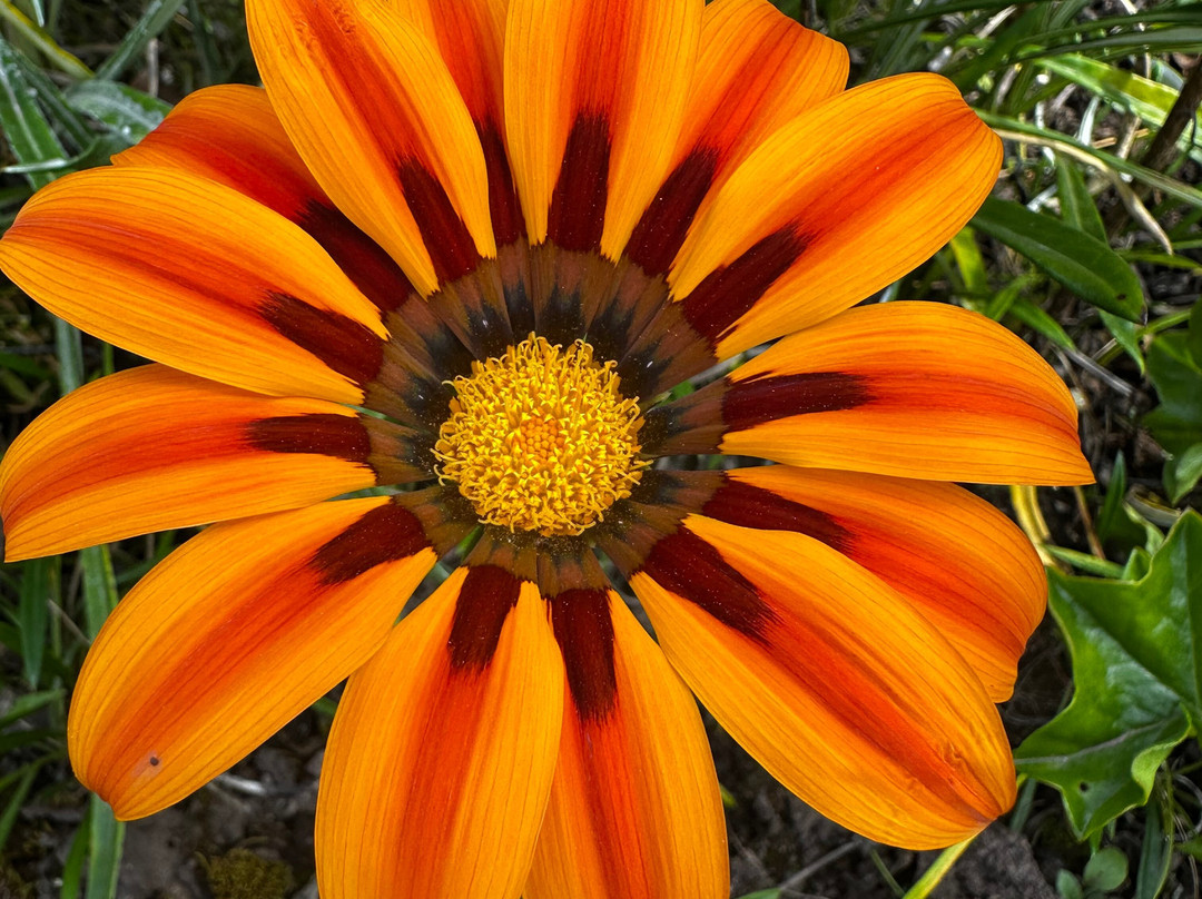 Amaru Valle Hotel主图