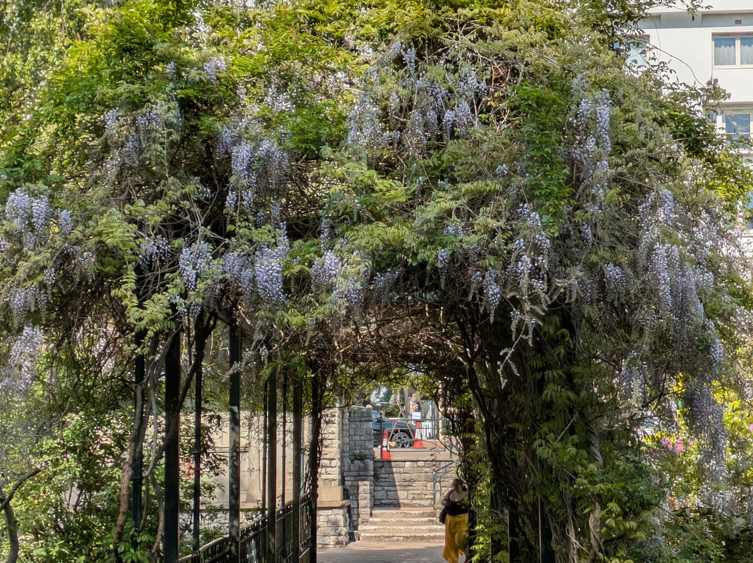 Coy Pond Gardens-普尔必去景点