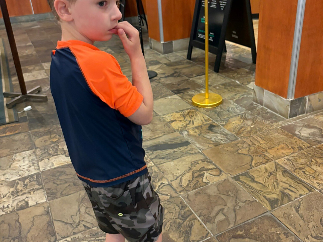 威廉斯堡假日套房酒店主图