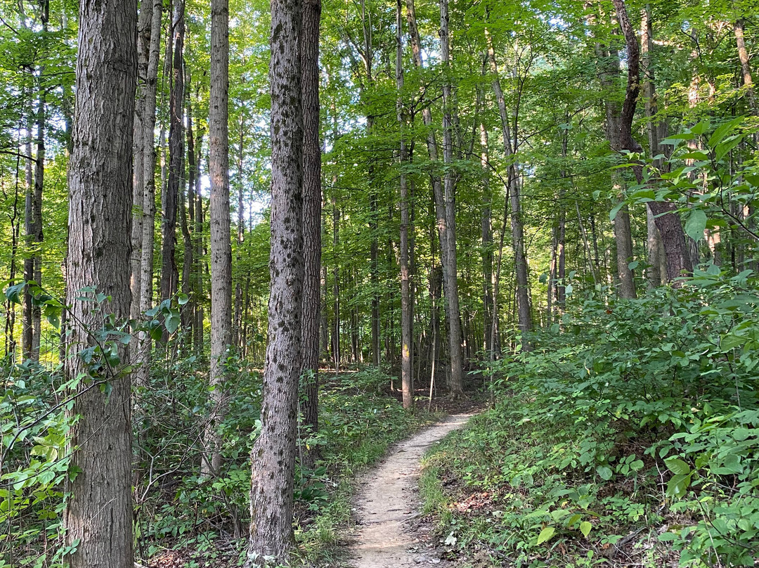 Mill Stream Run Reservation-克利夫兰必去景点