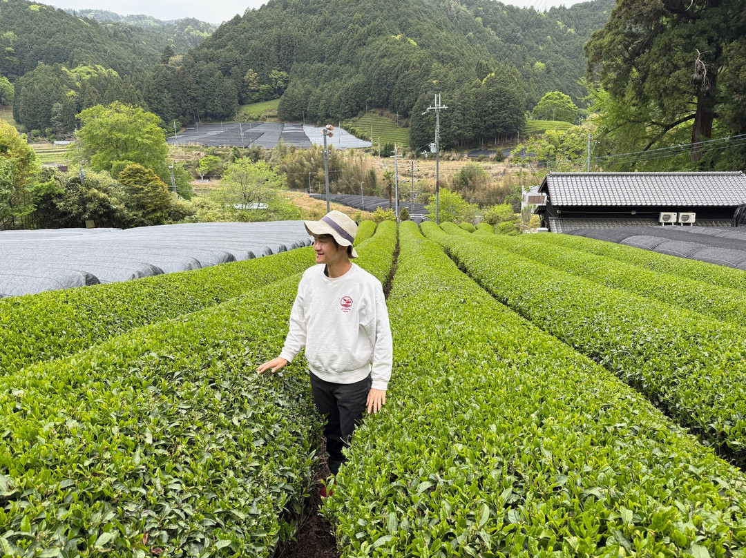 d:Matcha-和束町必去景点