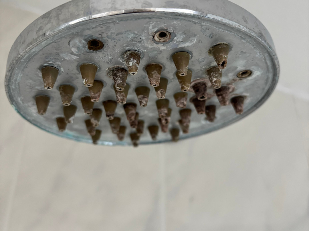 The Manor House & Hotel - West Bexington主图