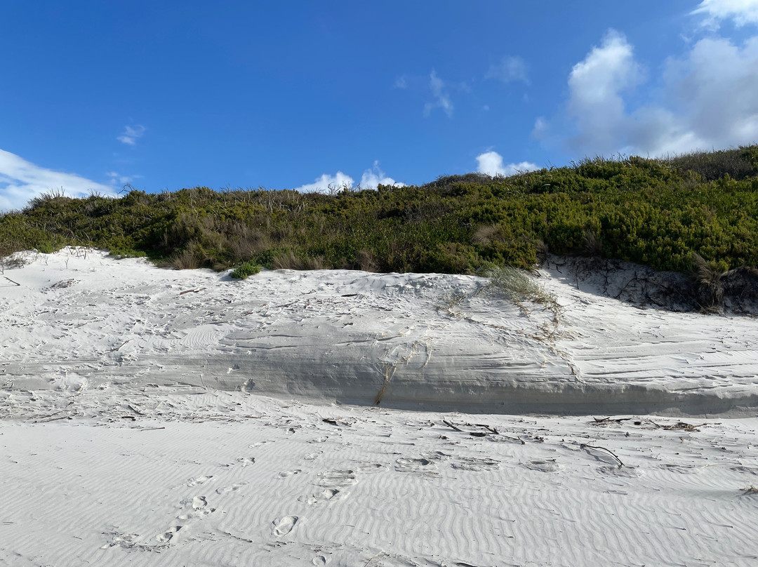 Denison Beach景点图片