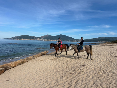 Centre Equestre de Porticcio-Grosseto Prugna必去景点