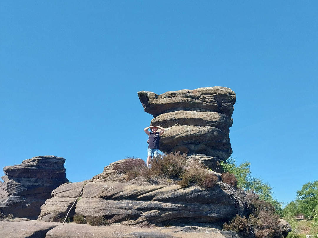Brimham Rocks景点图片