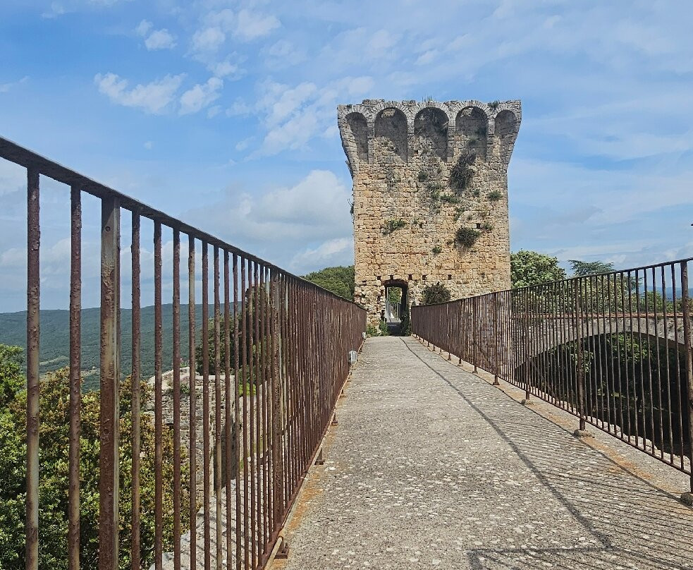 Torre del Candeliere景点图片