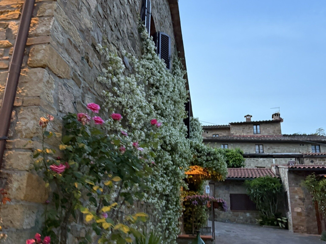 圣乔治别墅酒店主图