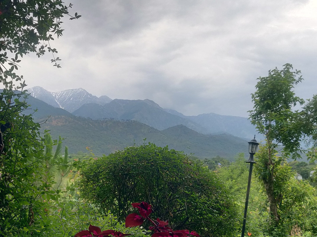 Seclude Palampur主图