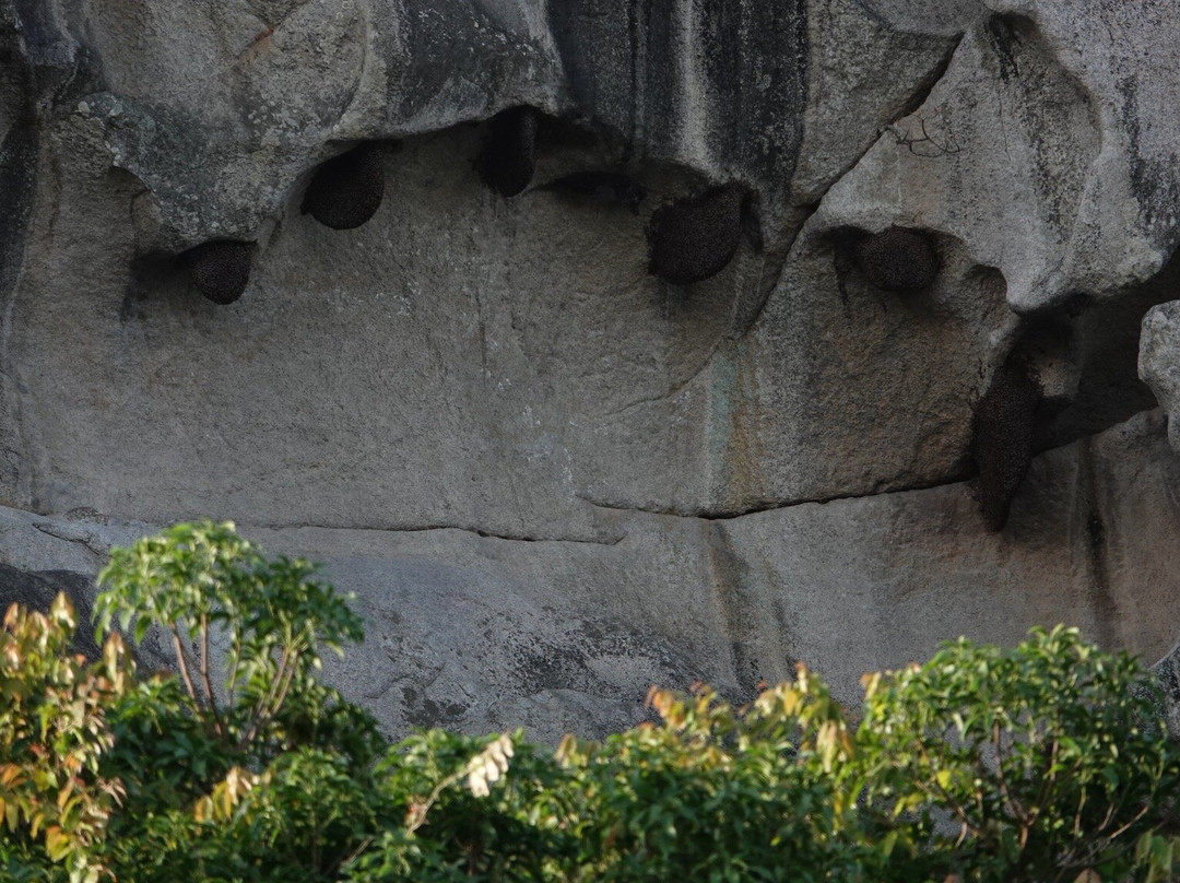 Hiking & Trekking Company Mount Abu景点图片