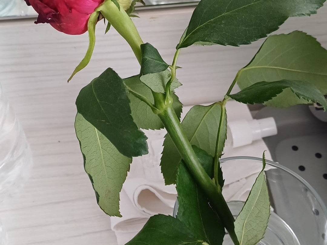 Hotel-B&B Goede Buren主图