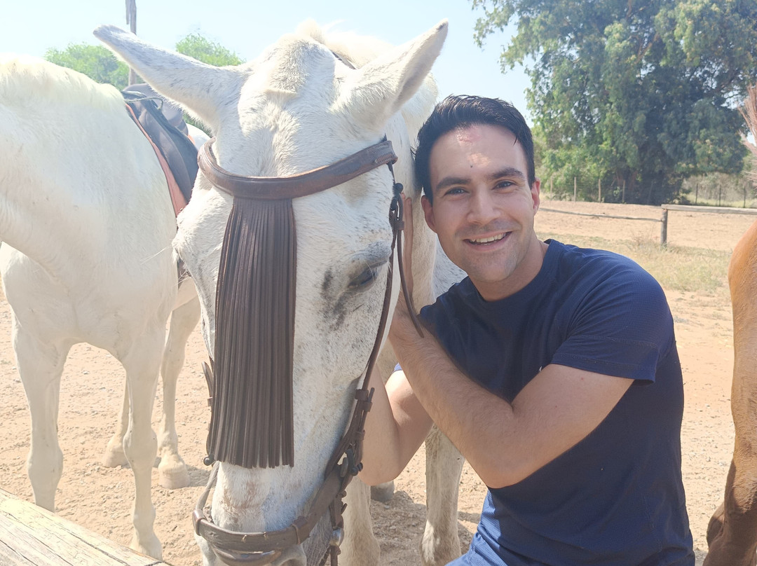 Dehesa Boyal-Villamanrique de la Condesa必去景点