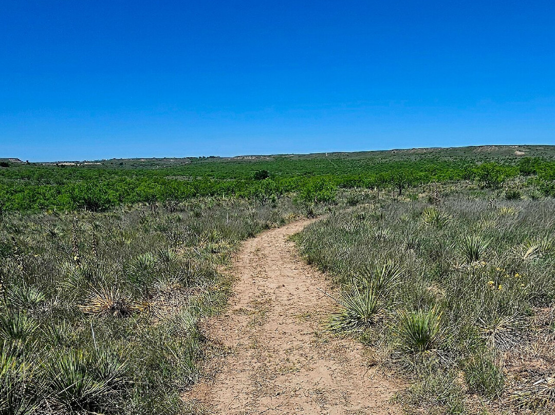 Wildcat Bluff Discovery Center-阿马里洛必去景点