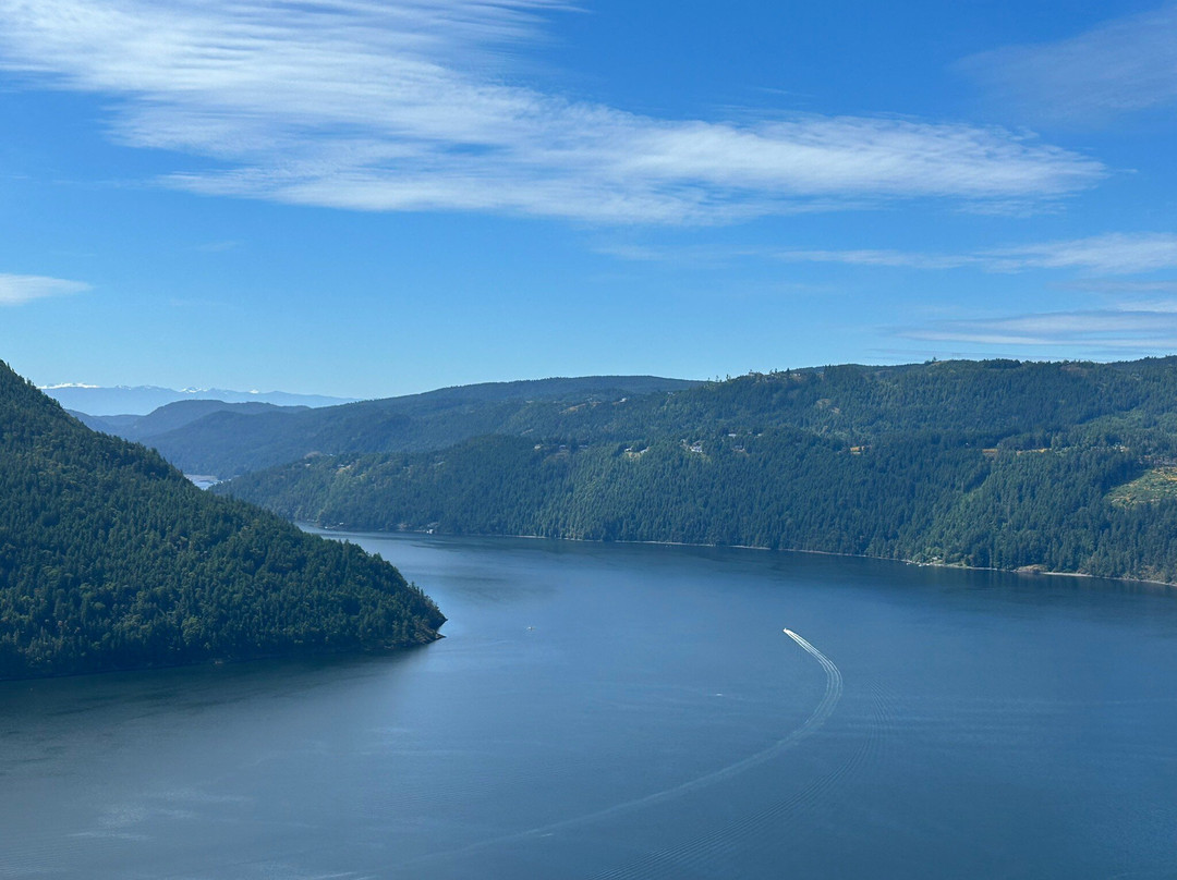 Malahat Skywalk景点图片