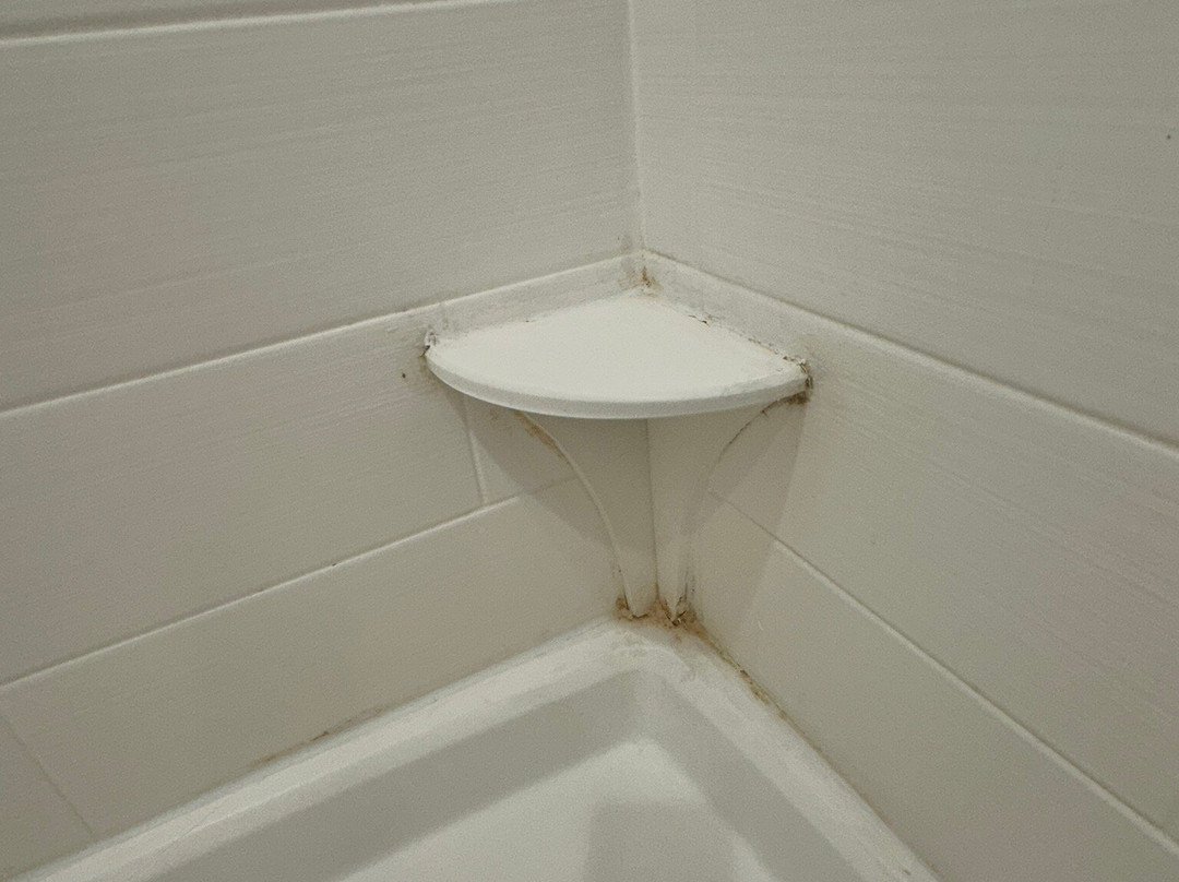 Hilton Garden Inn Jackson/Flowood主图