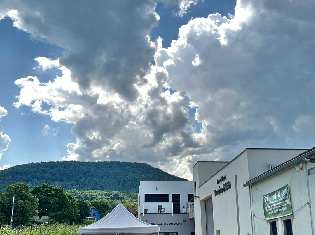 Domaine GUETH景点图片