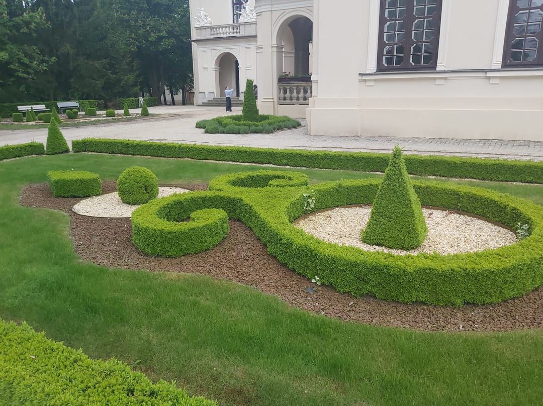 Zamoyski Palace Museum景点图片