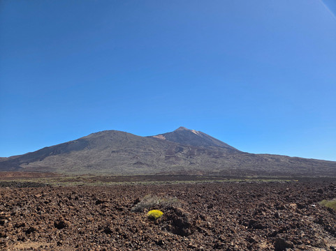 Quad Safari-阿罗纳必去景点