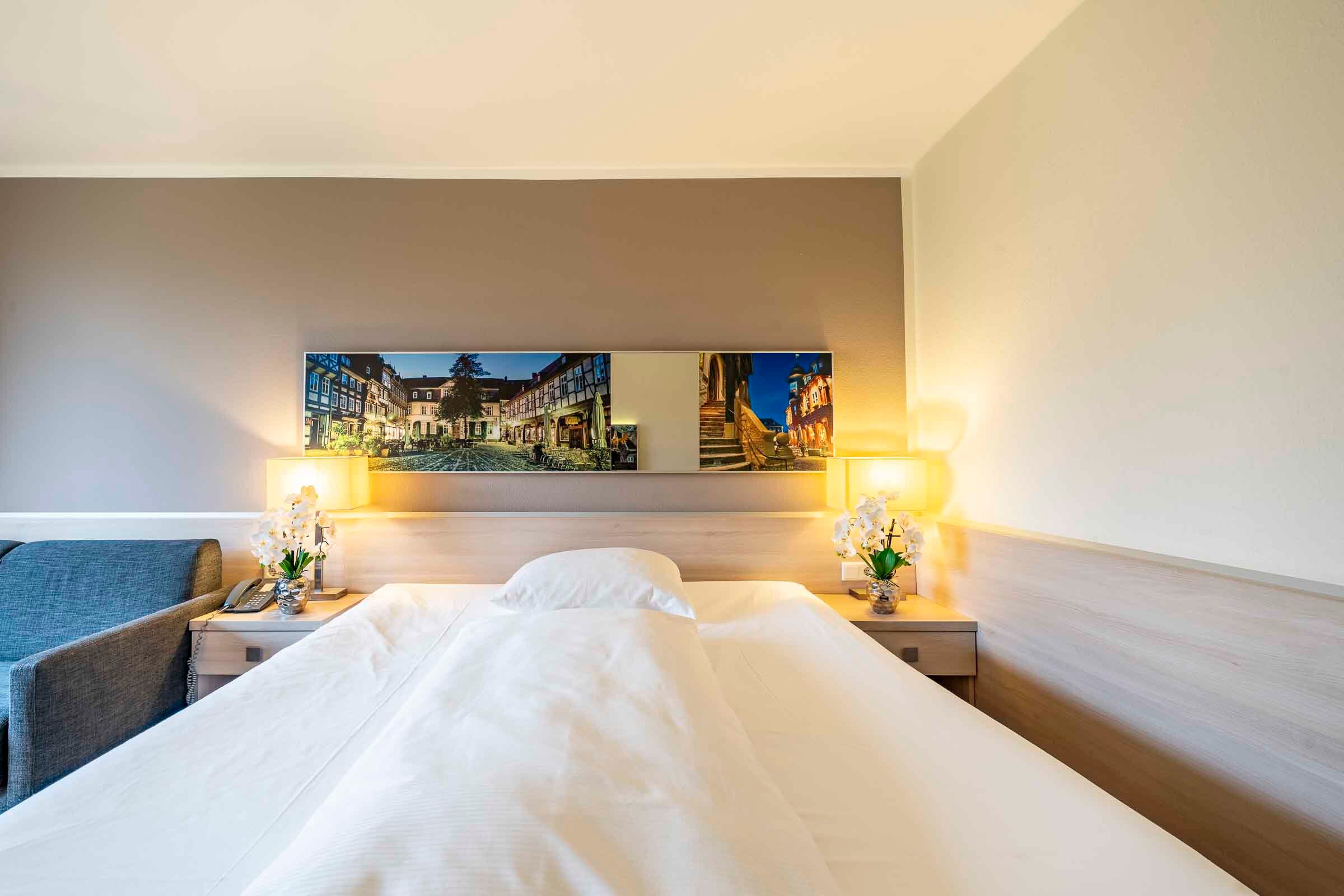 PLAZA INN Goslar-客卧