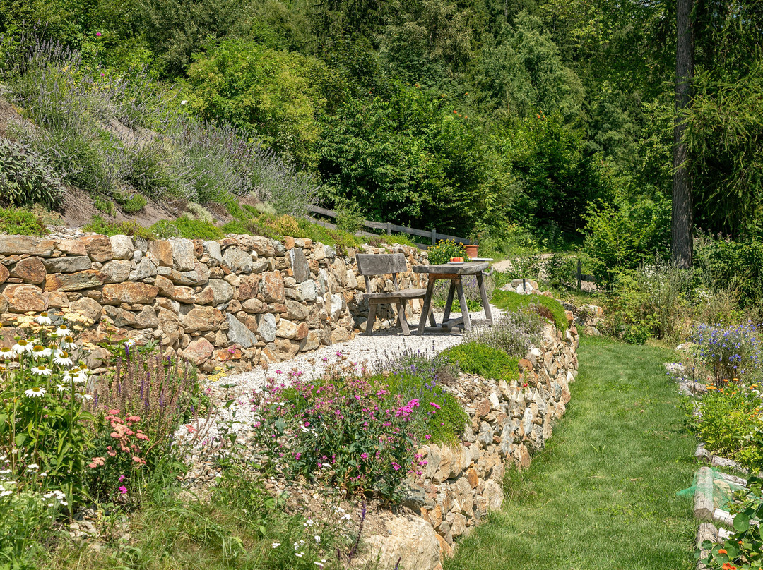 Vitalhotel Rainer主图