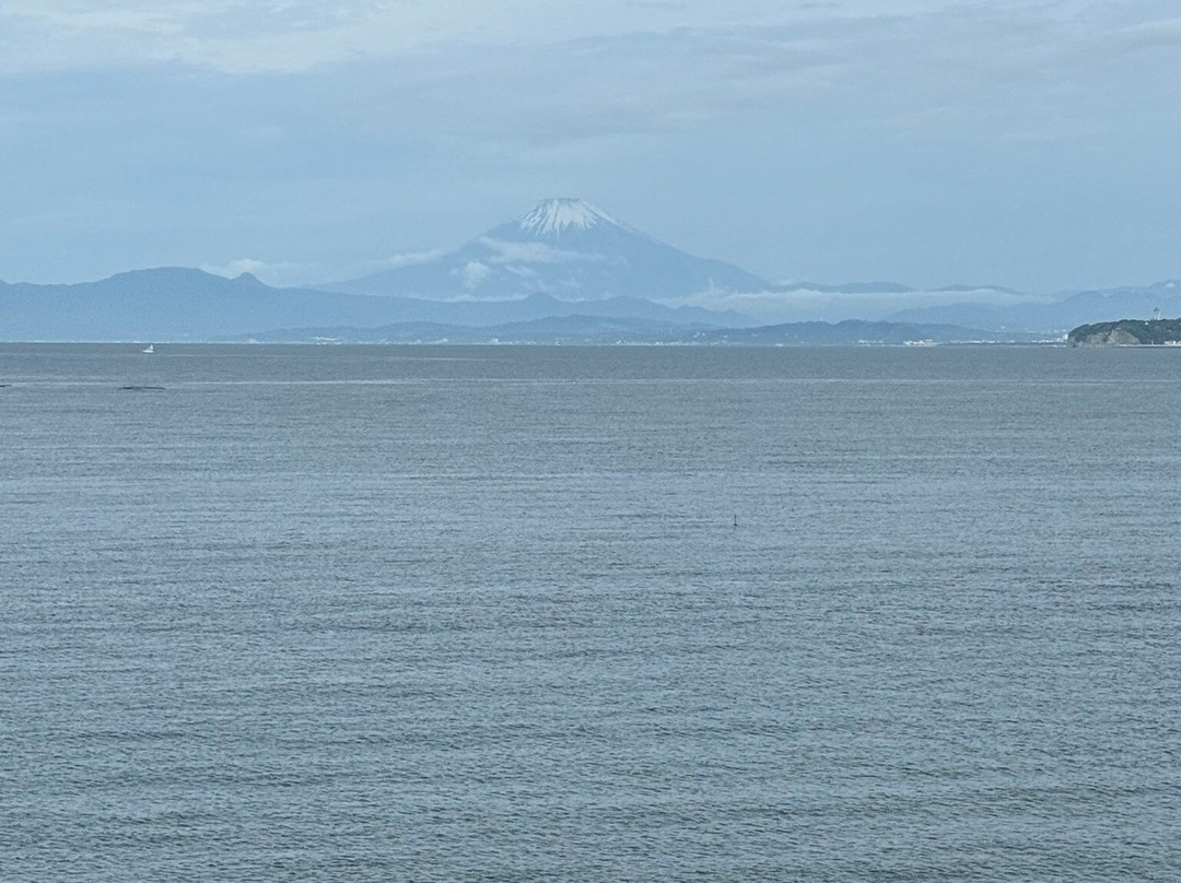 Scapes the Suite主图