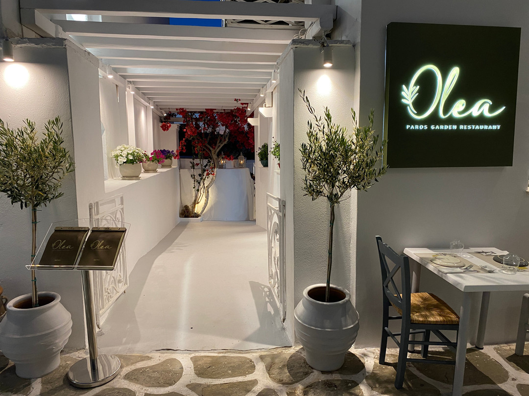 Olea Paros