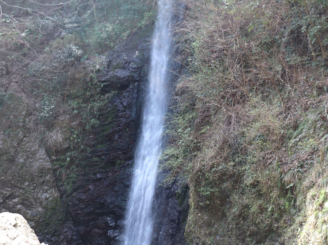 Yoro no Taki Falls-养老町必去景点