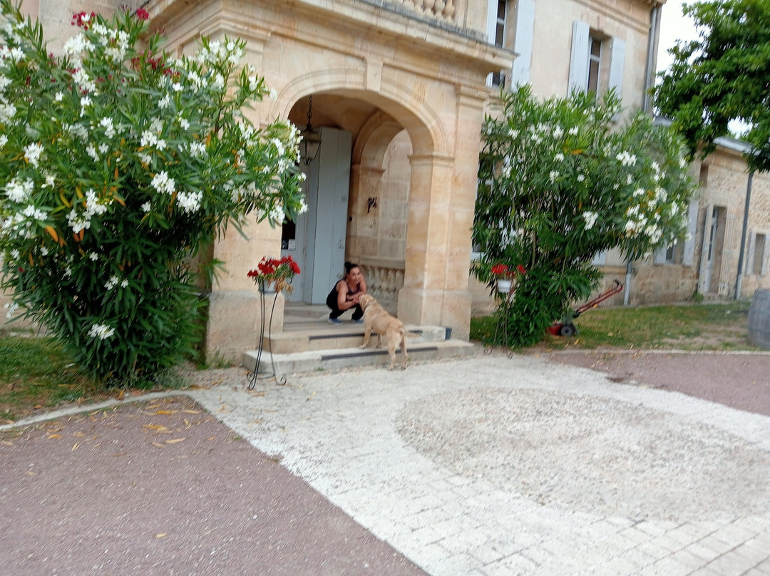 Château Julie主图