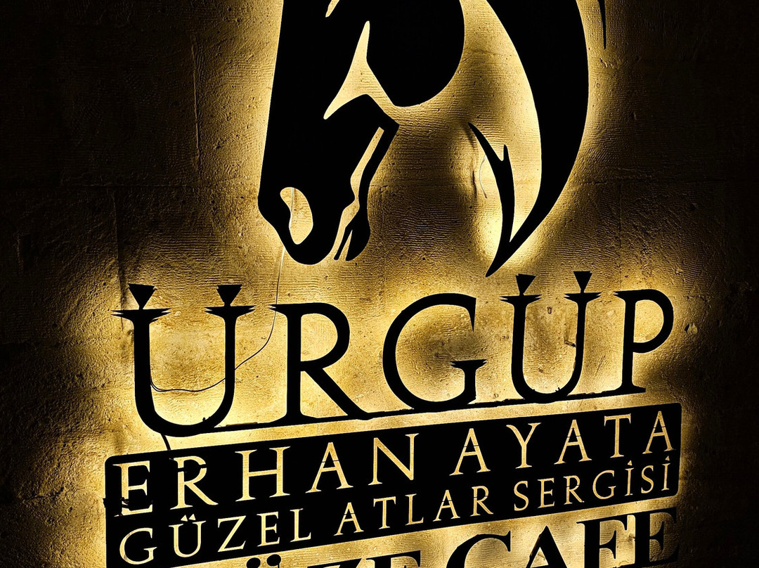 Erhan Ayata Güzel Atlar Sergisi