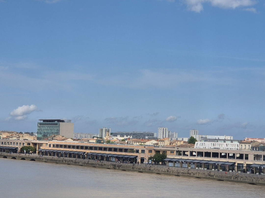 Visiotour Bordeaux-波尔多必去景点