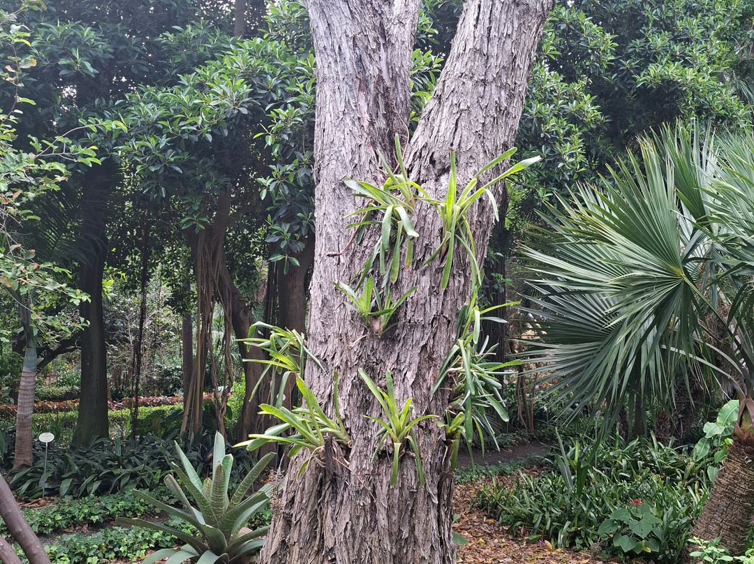 Botanischer Garten景点图片