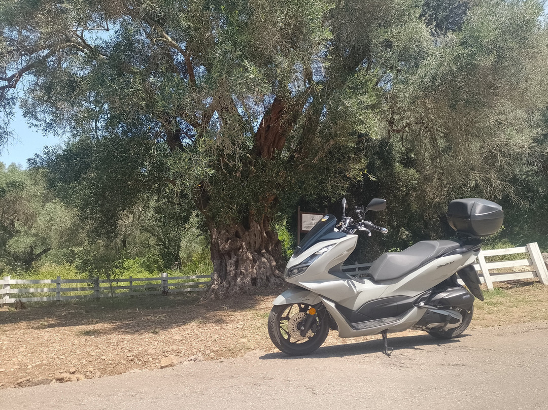 Corfu On Wheels Rentals-Moraitika必去景点