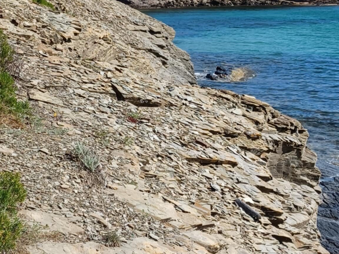 Cala Tamarells Des Sud-Es Grau必去景点