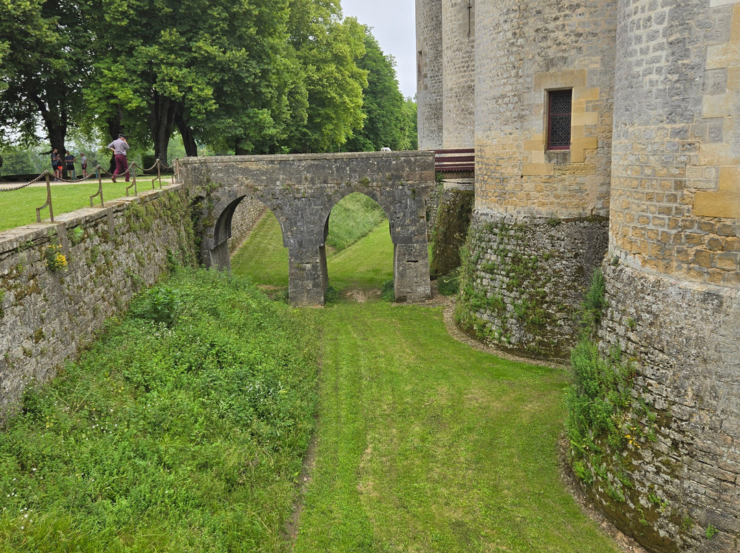 Chateau de Roquetaillade景点图片