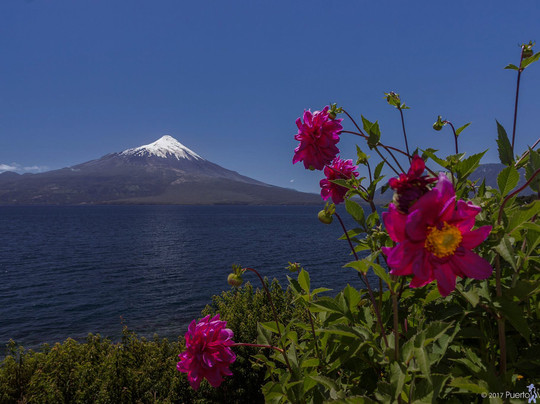 Tour Puerto Varas Photography-巴拉斯港必去景点