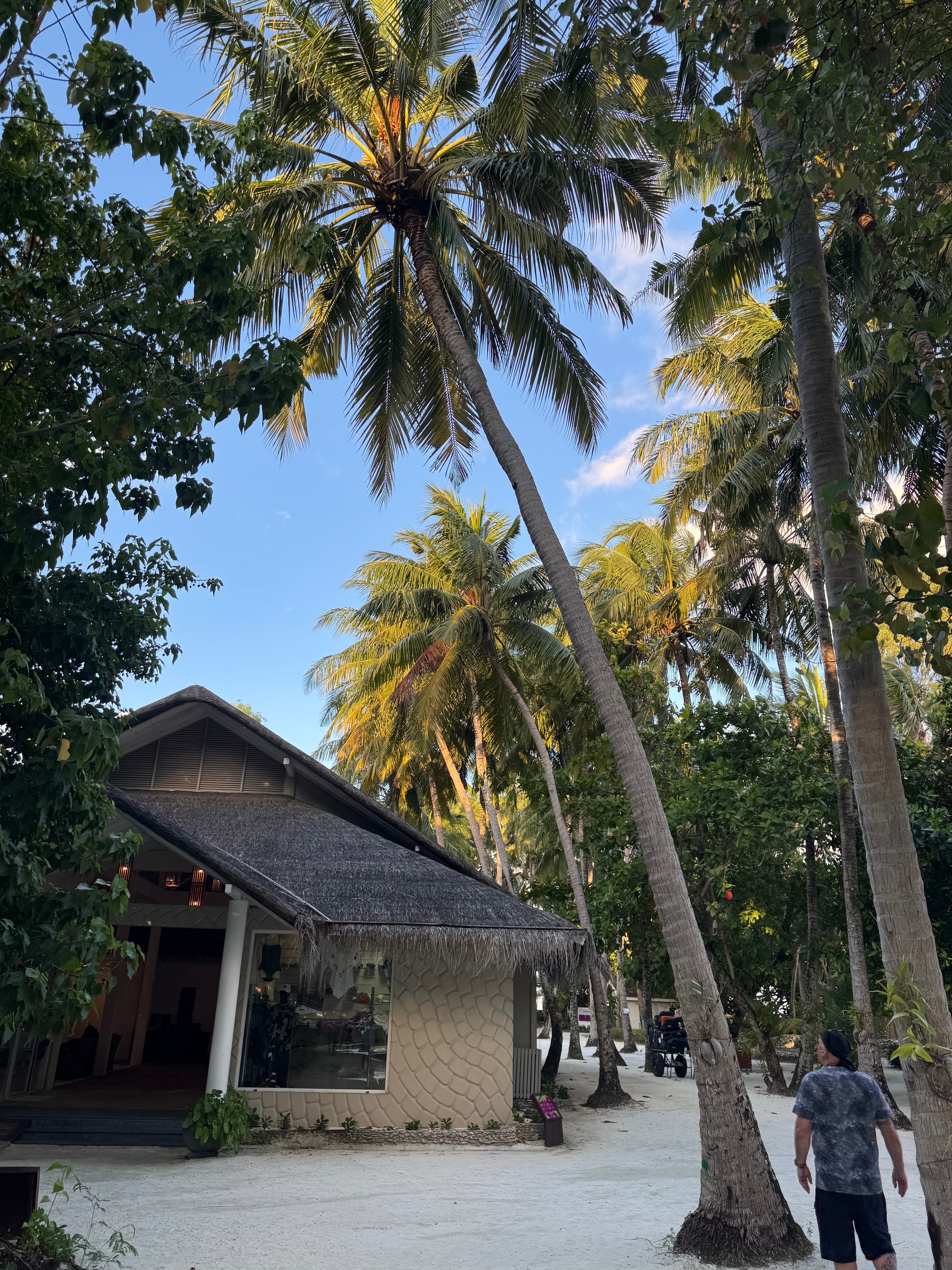 雅暗礁艾莱霍酒店-浴室