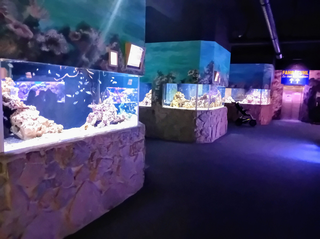 Erlebnispark Meeresaquarium-Zella-Mehlis必去景点