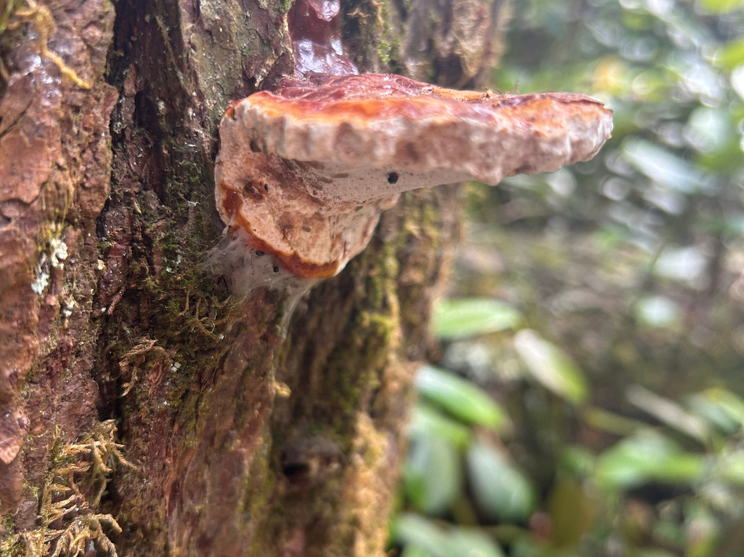 Cliffside Lake Recreation Area-海兰兹必去景点