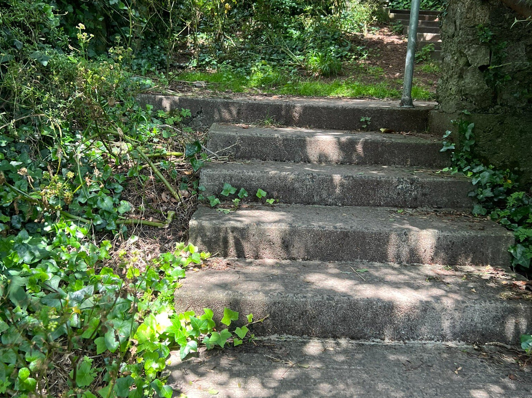 The Cat's Ladder