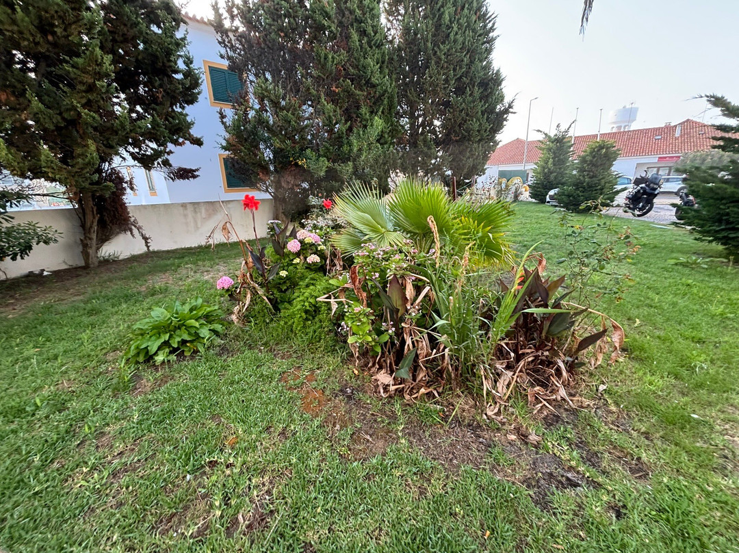 Hotel Dom Vasco主图