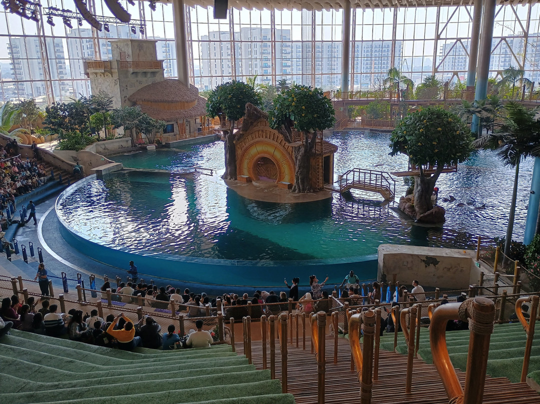 SeaWorld Yas Island Abu Dhabi景点图片