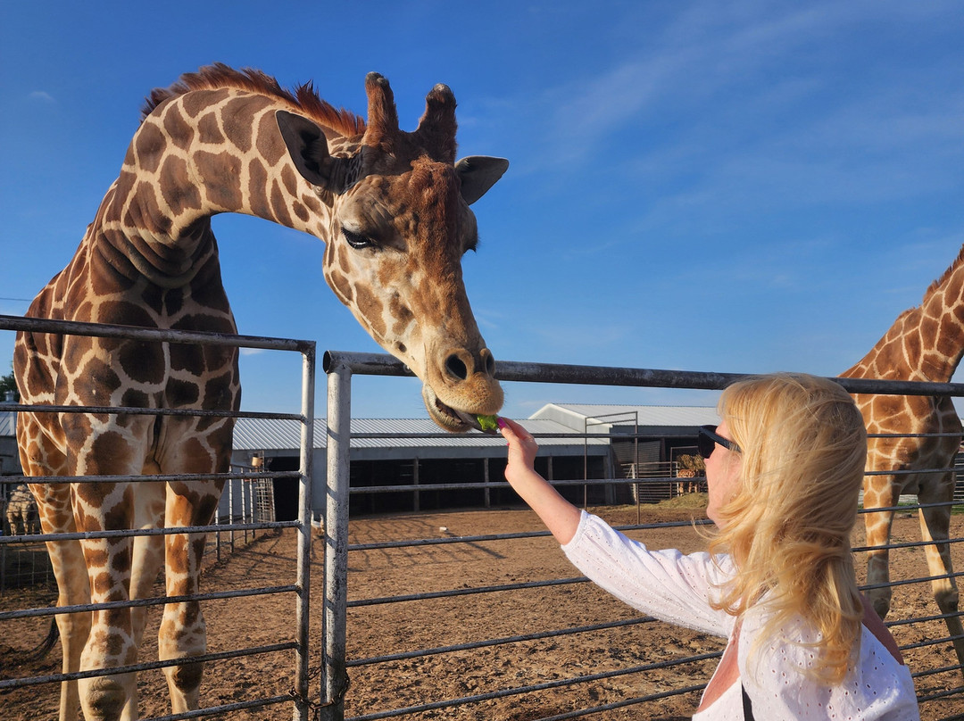 Hedrick's Exotic Animal Farm Bed and Breakfast主图
