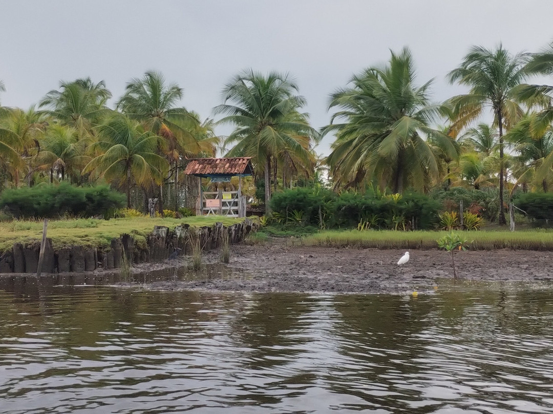 Hidrovia Canavieiras-Belmonte-Canavieiras必去景点