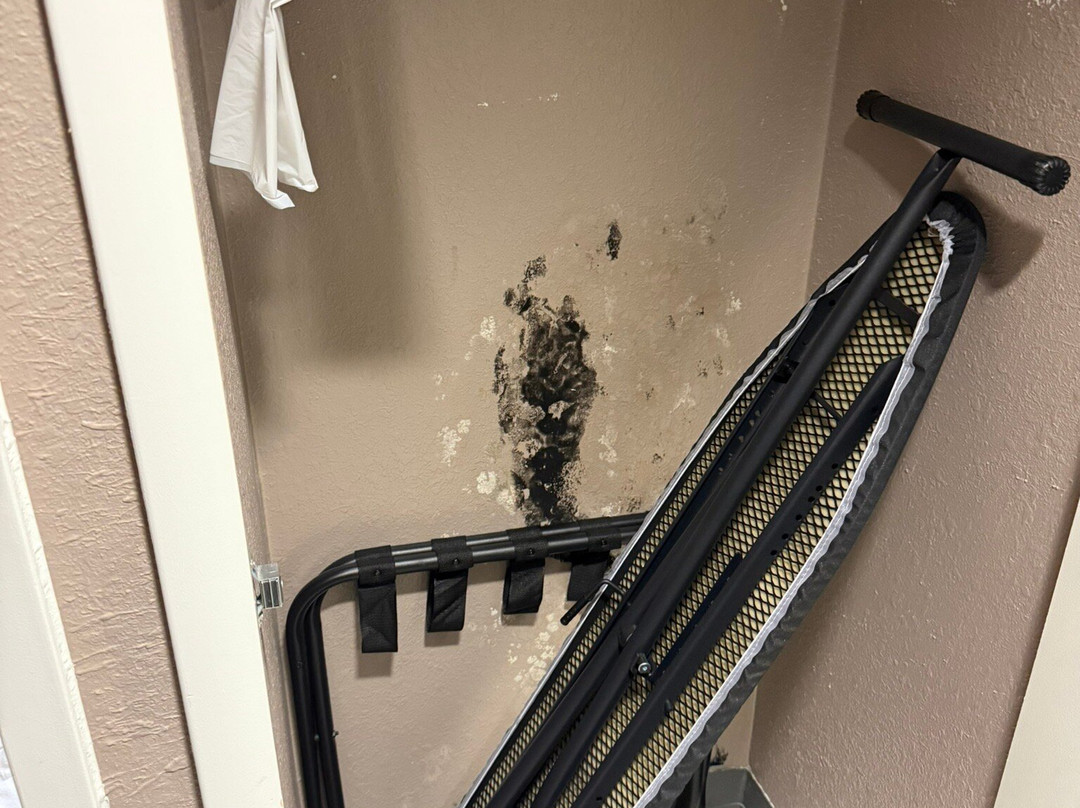 Hampton Inn Columbus/Dublin主图