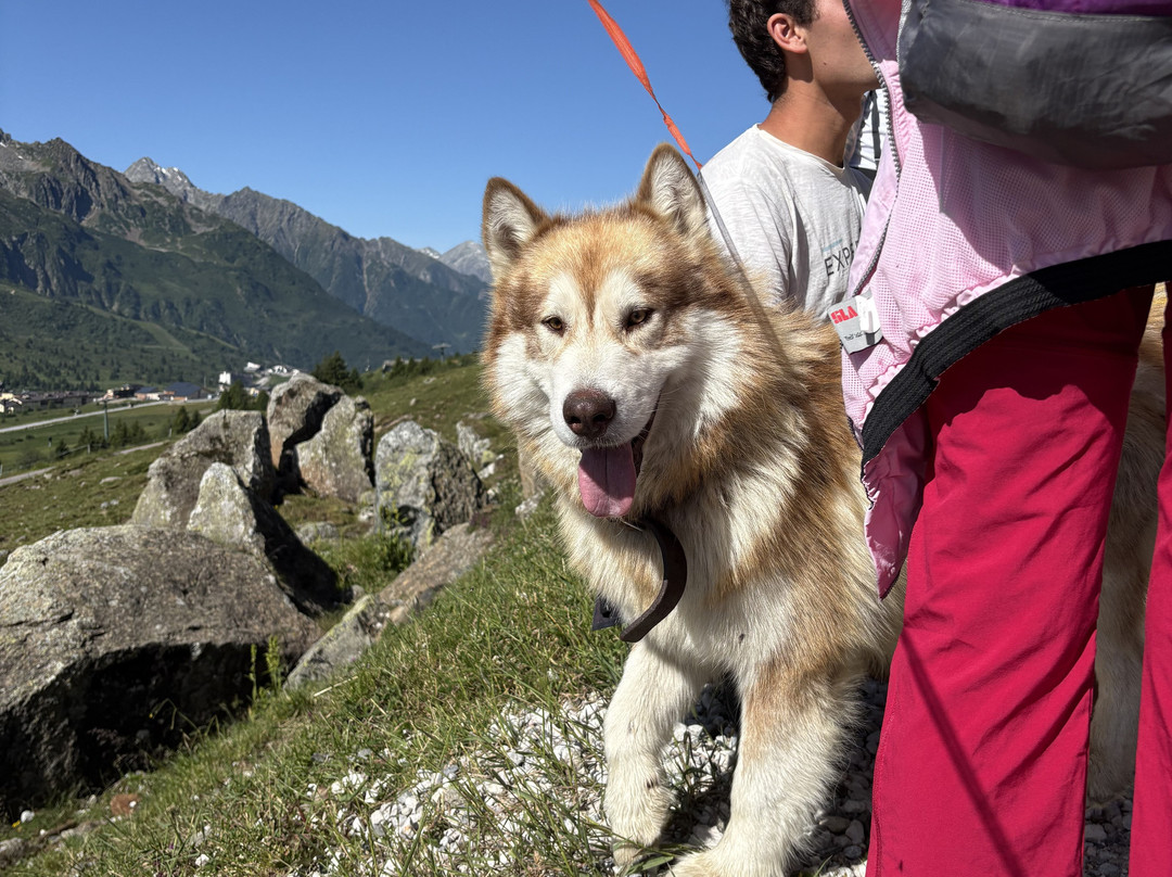 Experience Val di Sole-Mezzana必去景点