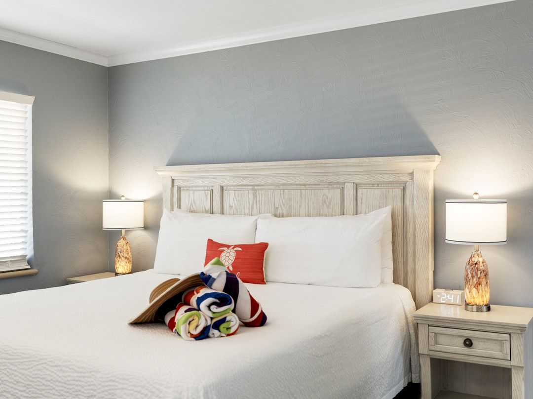 Tropical Beach Resorts - Sarasota主图