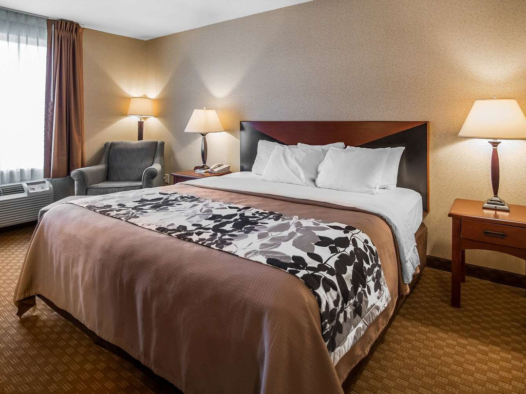 Rodeway Inn & Suites