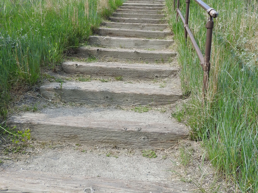 Sullys Hill National Game Preserve-Saint Michael必去景点