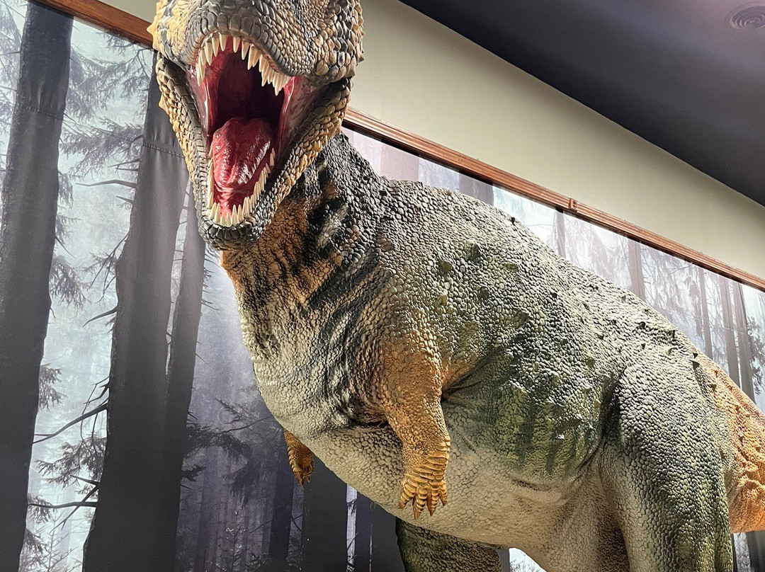 Aikman Wildlife Adventure-Arcola必去景点