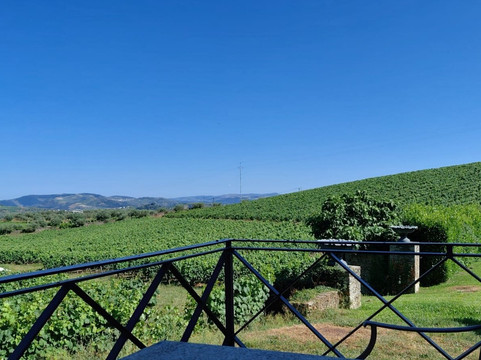 Authentic Trails-波尔图必去景点