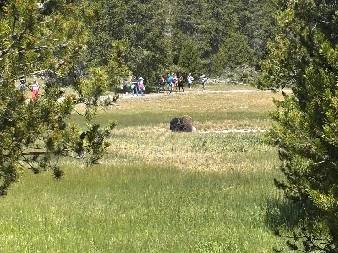 Old Faithful Visitor Education Center-黄石国家公园必去景点